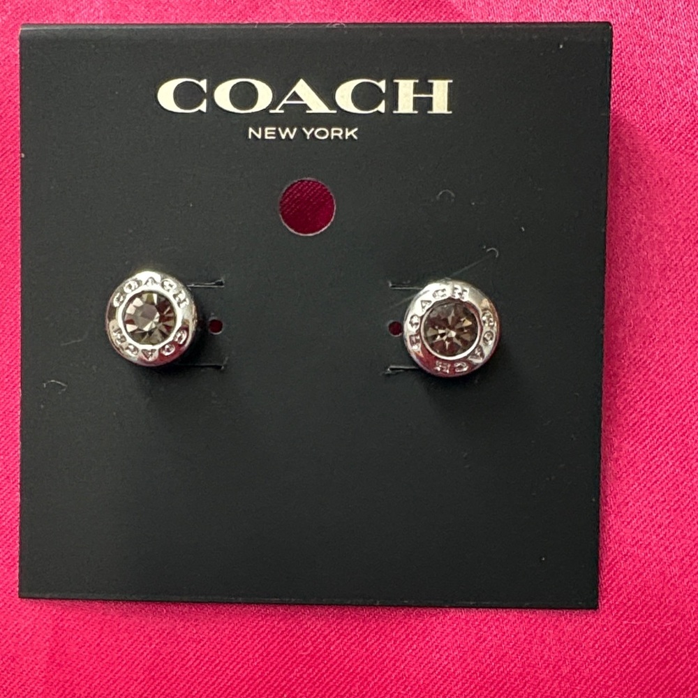 Coach Silver and Brown Earrings